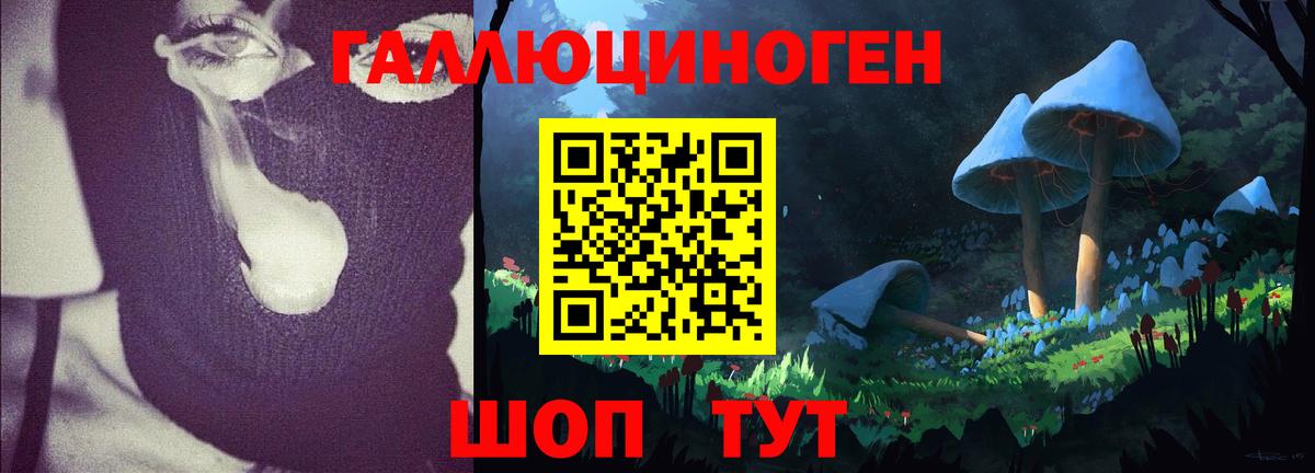 Псилоцибиновые грибы Cubensis Свободный