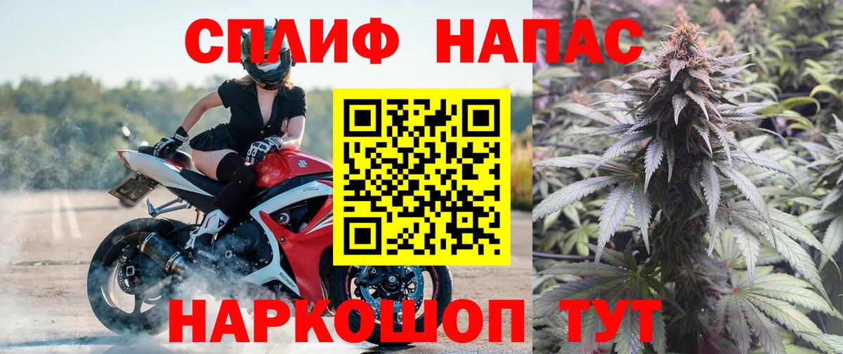 Канабис MAZAR  МАРИХУАНА VHQ  Свободный  Вход с VPN  Марихуана White Widow 